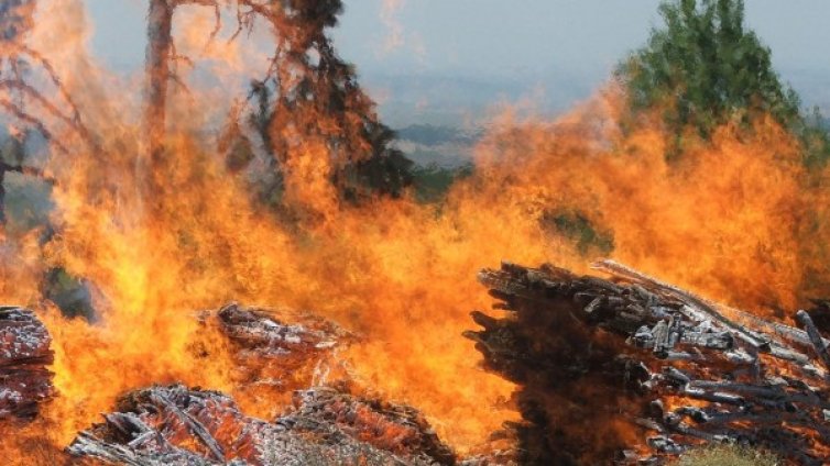 Овладяха пожара край Хасково