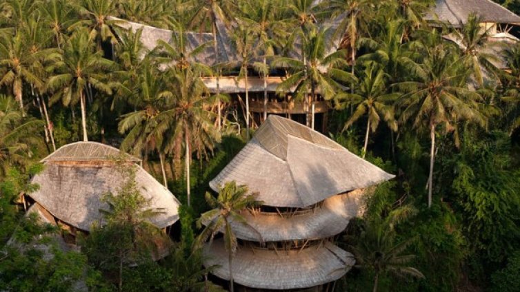 Бамбукът като дом