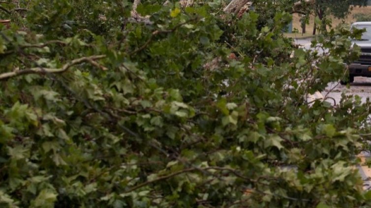 Двадесет души са ранени при преминаване на торнадо във Флоренция