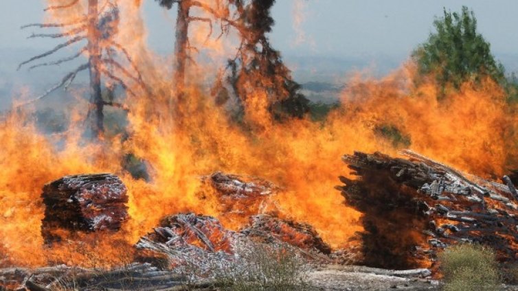 Борбата с пожара в Лесово продължава