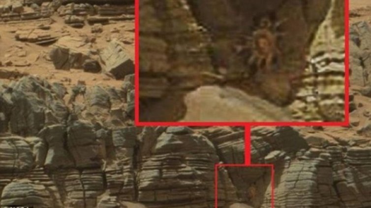 Рак с пипала, ама не съвсем. Заснето на Марс