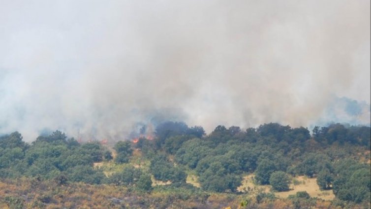 Локализиран е пожарът край Брезник