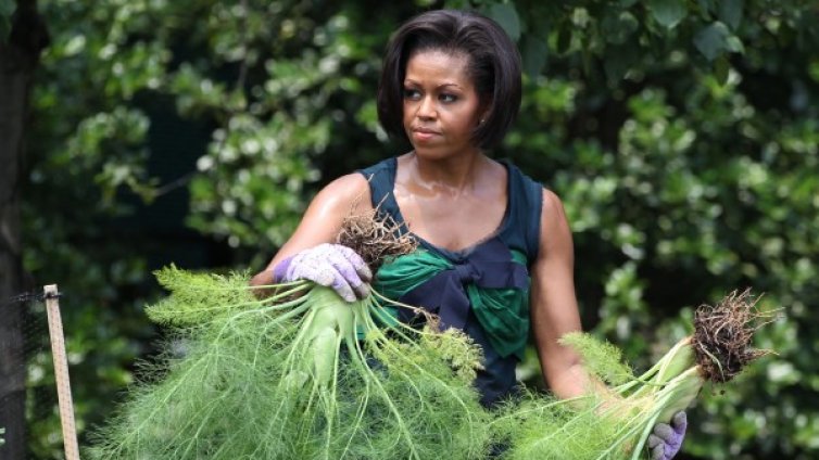 Семена от копър - символът на дълголетието