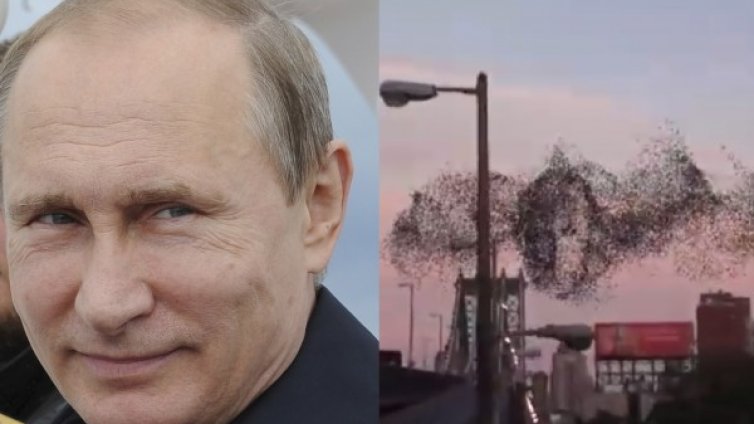 Путин в небесата &ndash; птици ''нарисуваха'' лика му