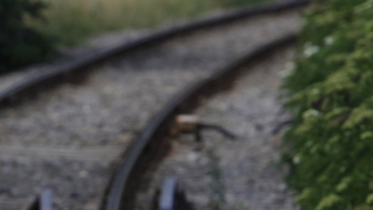 Два влака се сблъскаха близо до Будапеща