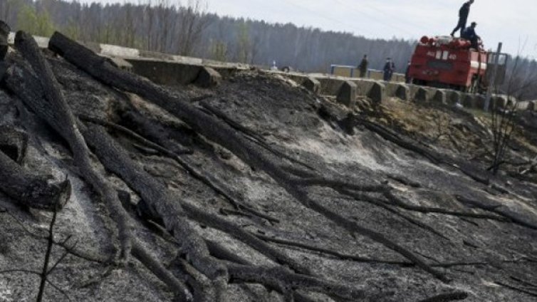 Нов пожар в забранената зона около Чернобилската АЕЦ