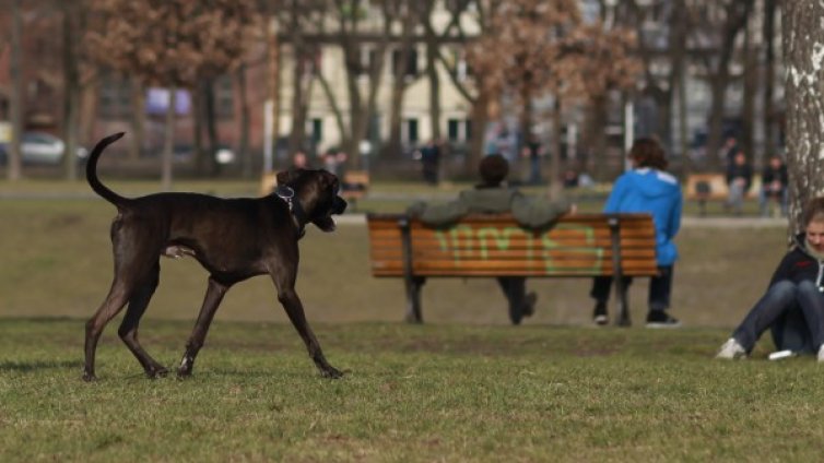 Последните летни дни &ndash; топли и слънчеви