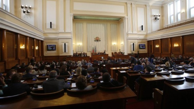 С рамо от Волен - 184 "да" за новата Конституция   