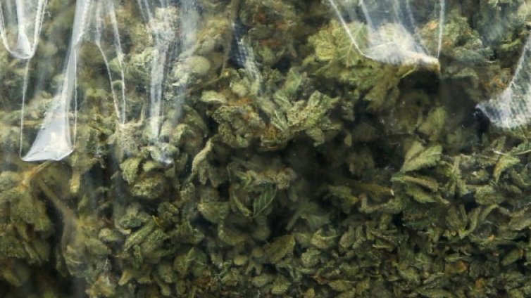 Половин тон трева откриха в ниви покрай Петрич