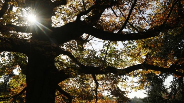 До 22&deg; днес, а слънцето ще ни се усмихне