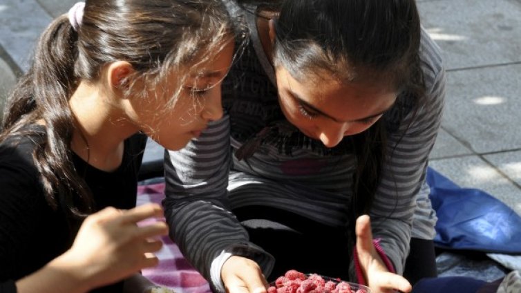 Мечото грозде помага при уринарни инфекции