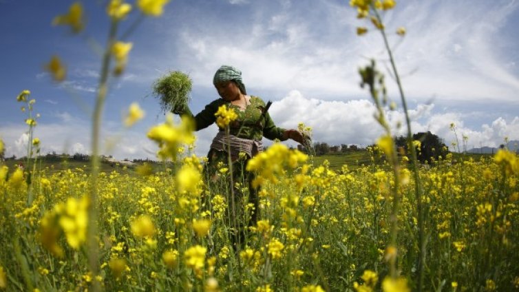 Хомеопатията &ndash; какво представлява?