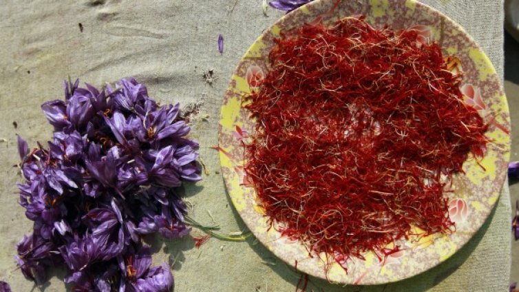 Шафранът - новото злато на родното земеделие