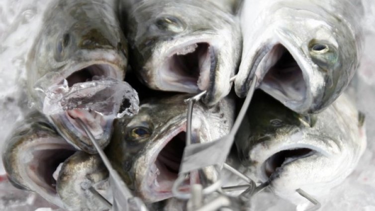 Рибар загина от изгаряния, закачил жица