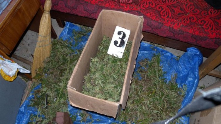 Иззеха пушка и канабис от дома на мъж, стрелял по кучета