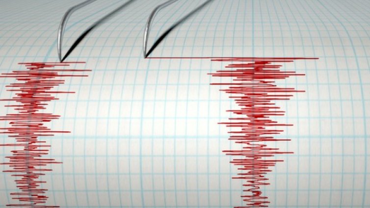 Трус с магнитуд 5,3 регистриран в Пакистан