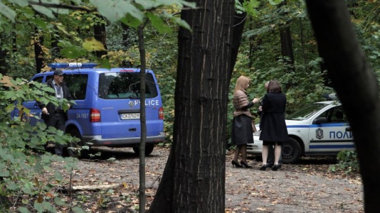 Дървото-убиец не е издържало от дъждовете
