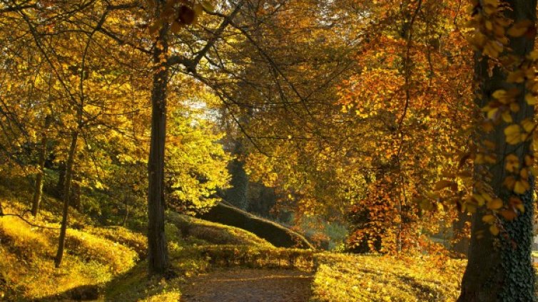 И днес като вчера &ndash; сутринта хладно, следобед топло