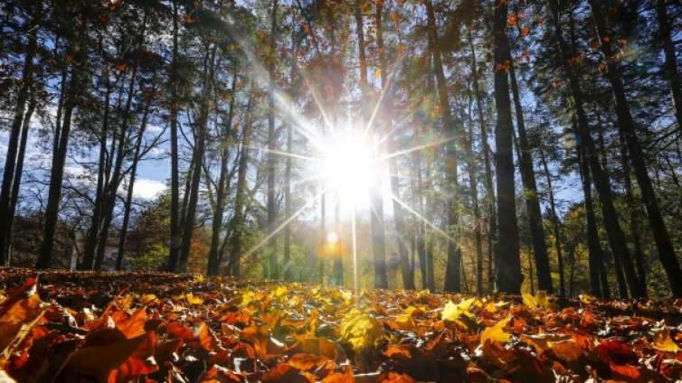 Ноемврийска пролет пукна &ndash; в сряда до 25&deg;С
