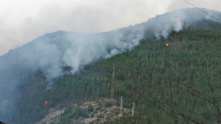 Нов пожар над Смолян 