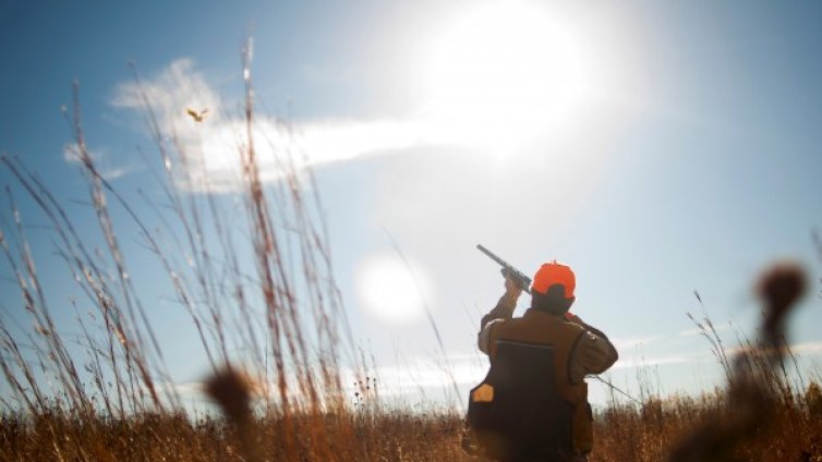 Мъж уби тъста си на лов за чакали
