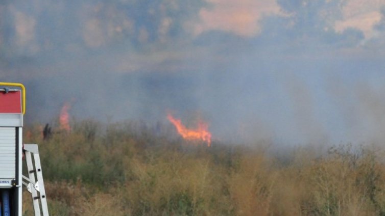 Локализираха пожара край Габрово