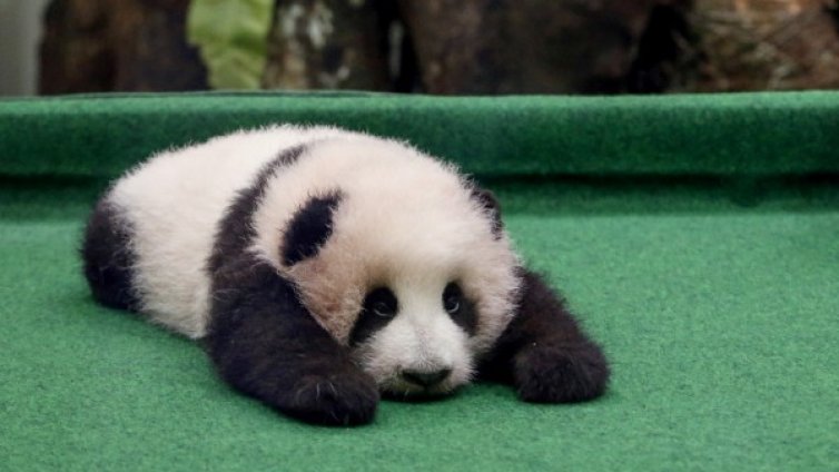 Денят в снимки