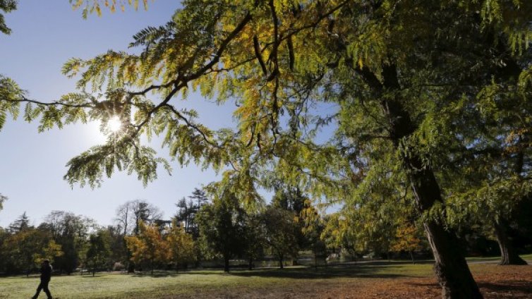 И утре есенно слънце, захлажда се от петък