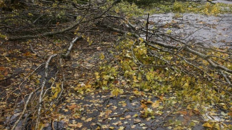 Урагани бушуват в цялата страна, една жена пострада