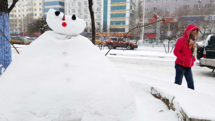 Денят в снимки