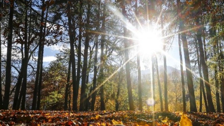 Предимно слънчево ще е днес, с температури до 8&deg; - 13&deg;