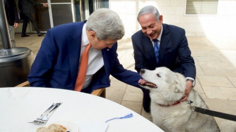 Кучето на Нетаняху изпохапа политическия елит