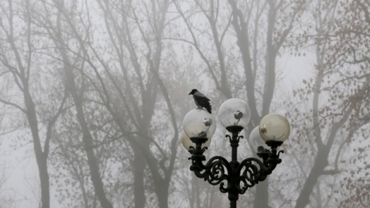 И днес без сняг, температурите ще стигнат до 12&deg;
