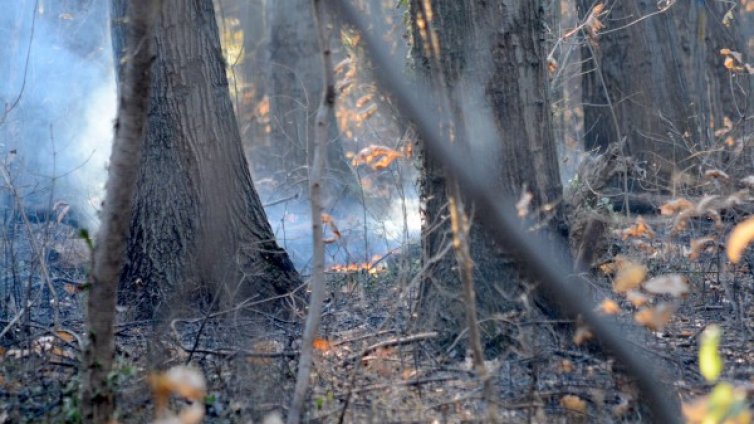 Пожарът край Златоград още тлее, огнеборците - на крак