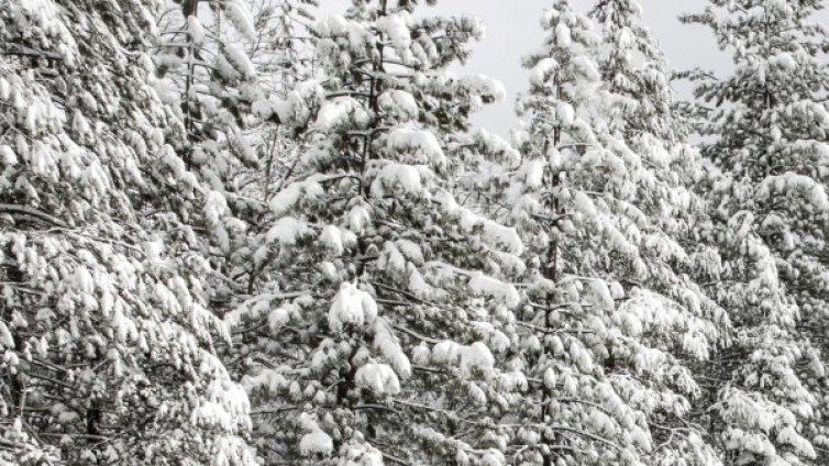 Смразяващи -19 градуса в Смолян 