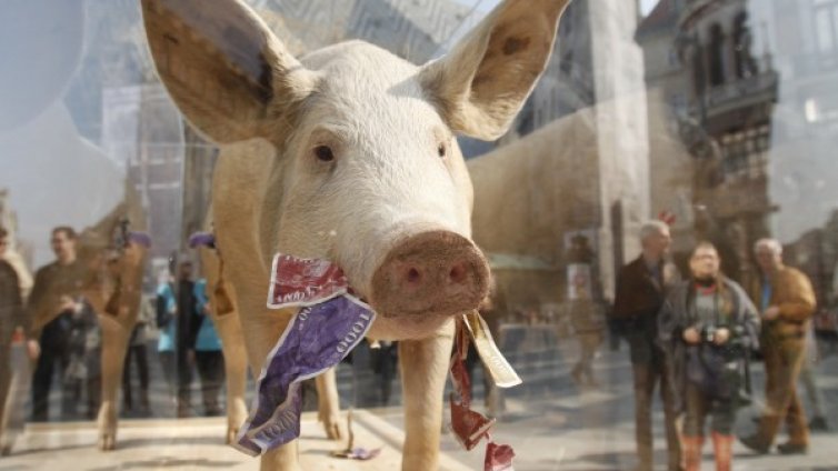 1-ият процент най-богати притежават повече от 99-те