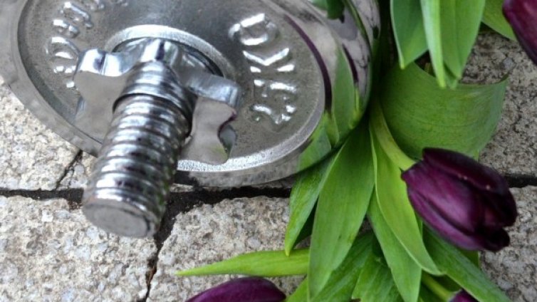 Семейство и култура &ndash; оттам ли идва насилието?