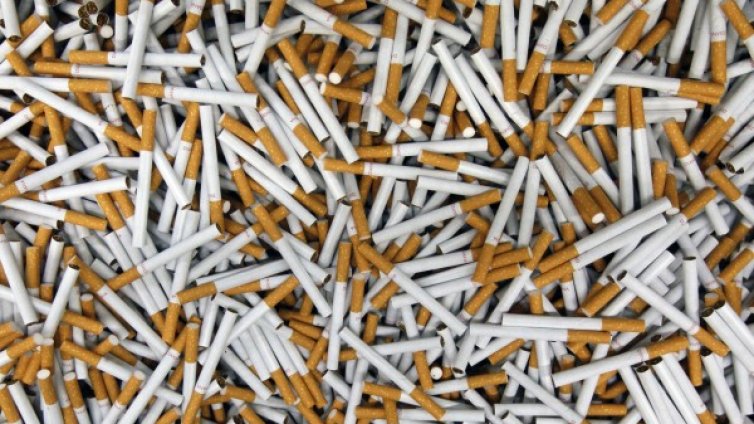 Пловдивчанин къта вкъщи над 230 хил. нелегални цигари