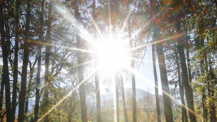 Пролетно начало на февруари, днес до 15&deg;С