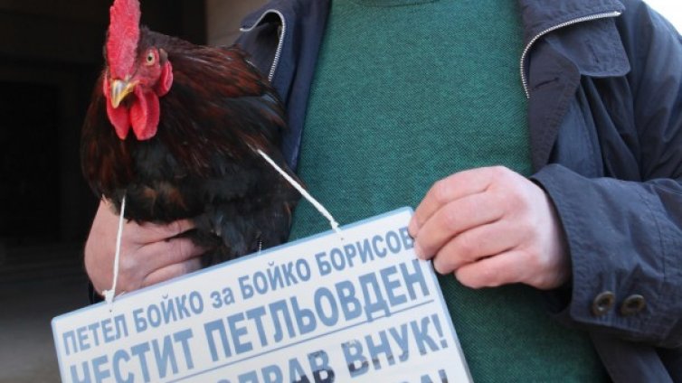 На Петльовден &ndash; жив петел (Бойко) за премиера