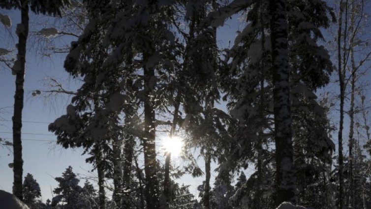Уж Малък Сечко, а живакът скача до 24 градуса