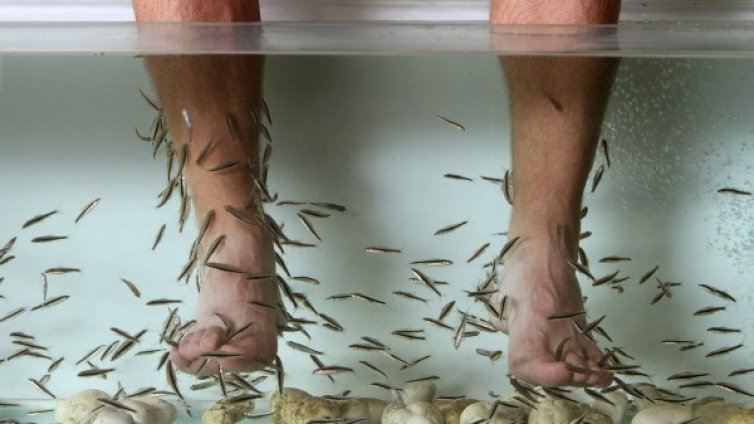 Във Вършец доволни &ndash; времето топло, хотелите пълни