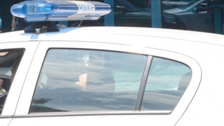 Задържаха поляк на протест срещу Луковмарш