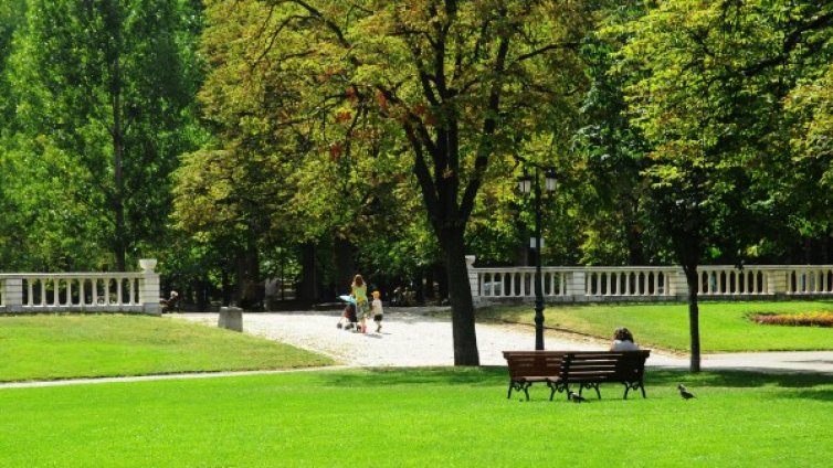 Фандъкова спря поръчка за 28 млн. за озеленяване