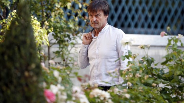 За по-добро здраве &ndash; растение в офиса