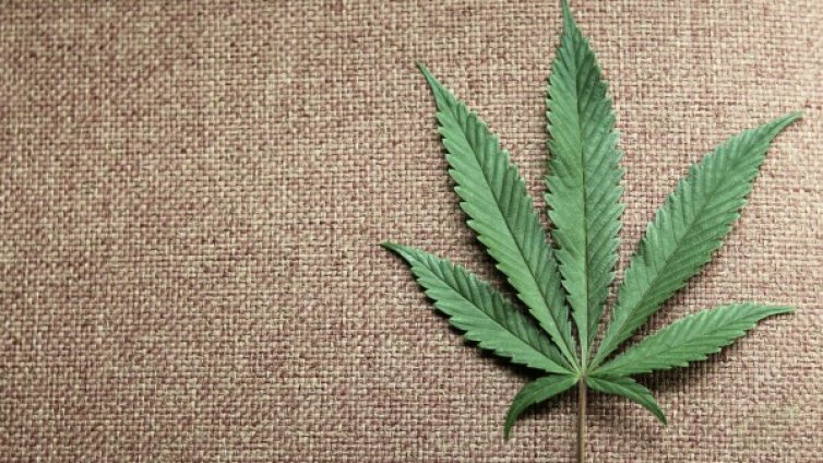 Приеха ученичка в "Пирогов", вероятно пушила трева