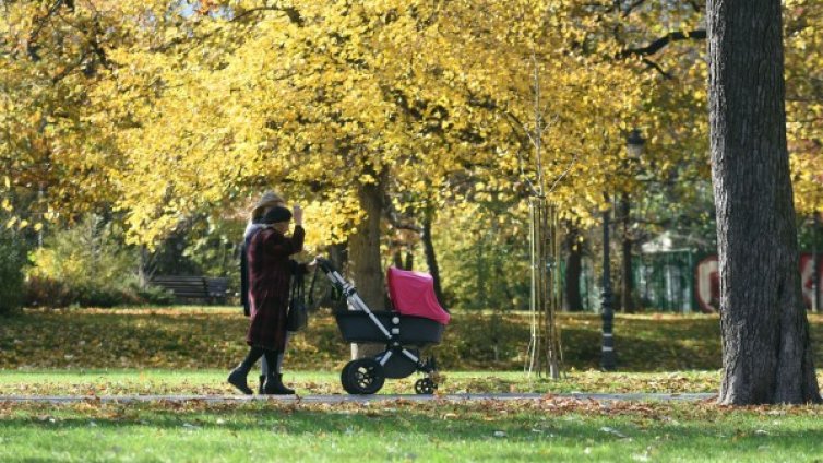 Природозащитници: Да се забрани градежа в паркове!