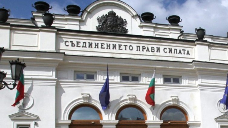 Протестът днес: Задължителният вот &ndash; "Вот Без Хомот"