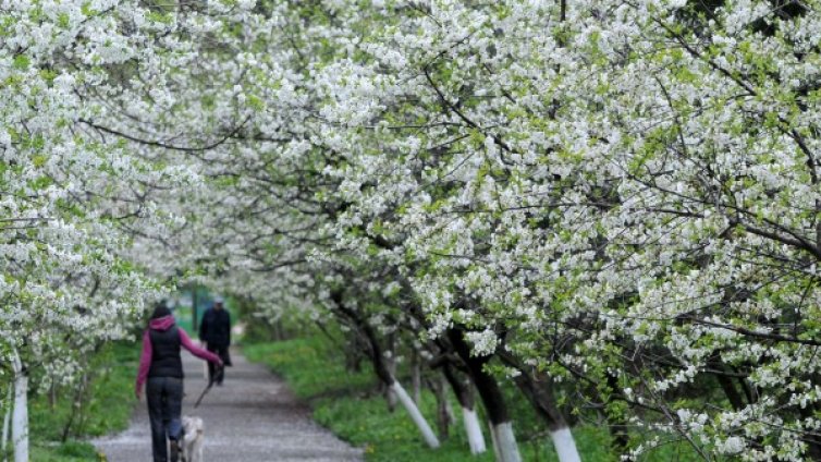 Пролет е: Утре сутрин &ndash; зима, в петък &ndash; лято...