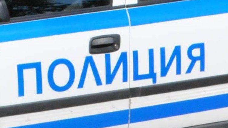 11-годишно момче гръмна куче с въздушна пушка